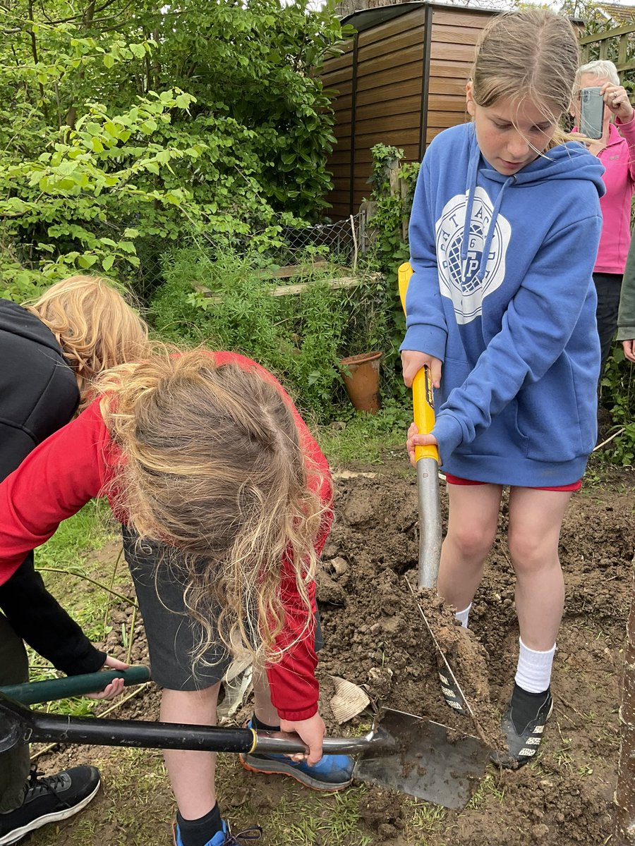 bps_sch_council's tweet photo. School council and RRS ambassadors planted a tree in the edible garden last week to commemorate the coronation of King Charles III
#ltfot #ediblegarden #RRS #CoronationDay https://t.co/WP0HO0BY4j