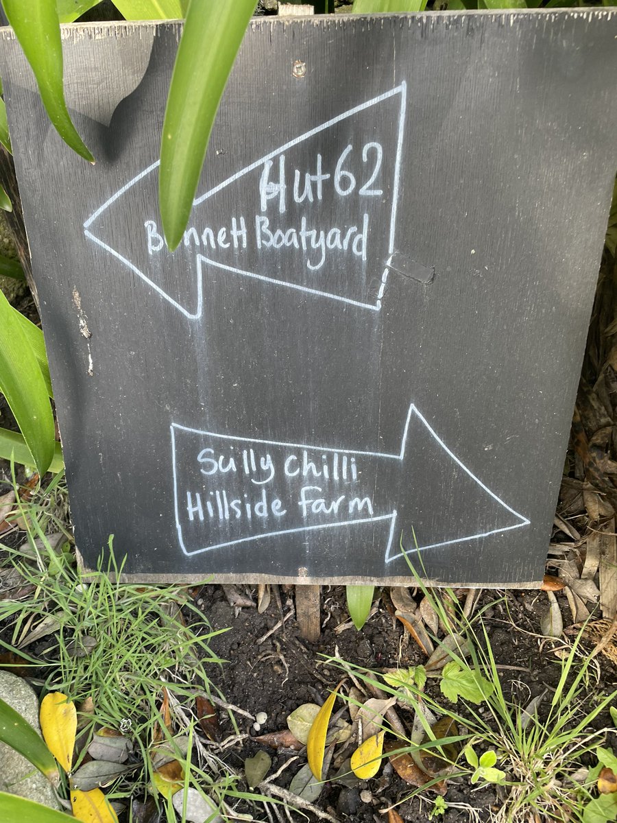 tevicornwall's tweet photo. Filming best practice @Hillsidebryher winner of the Growing Greener: Food &amp; Farming award #CSA 2022 https://t.co/3IU3dnDc12