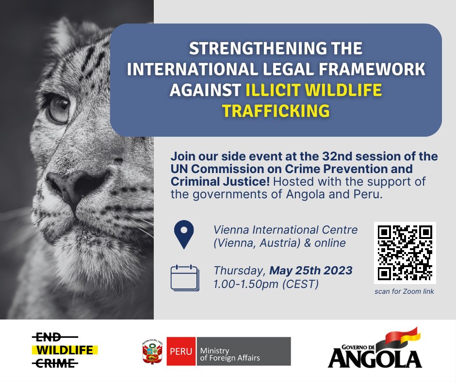 Alice Pasqualato tweet media