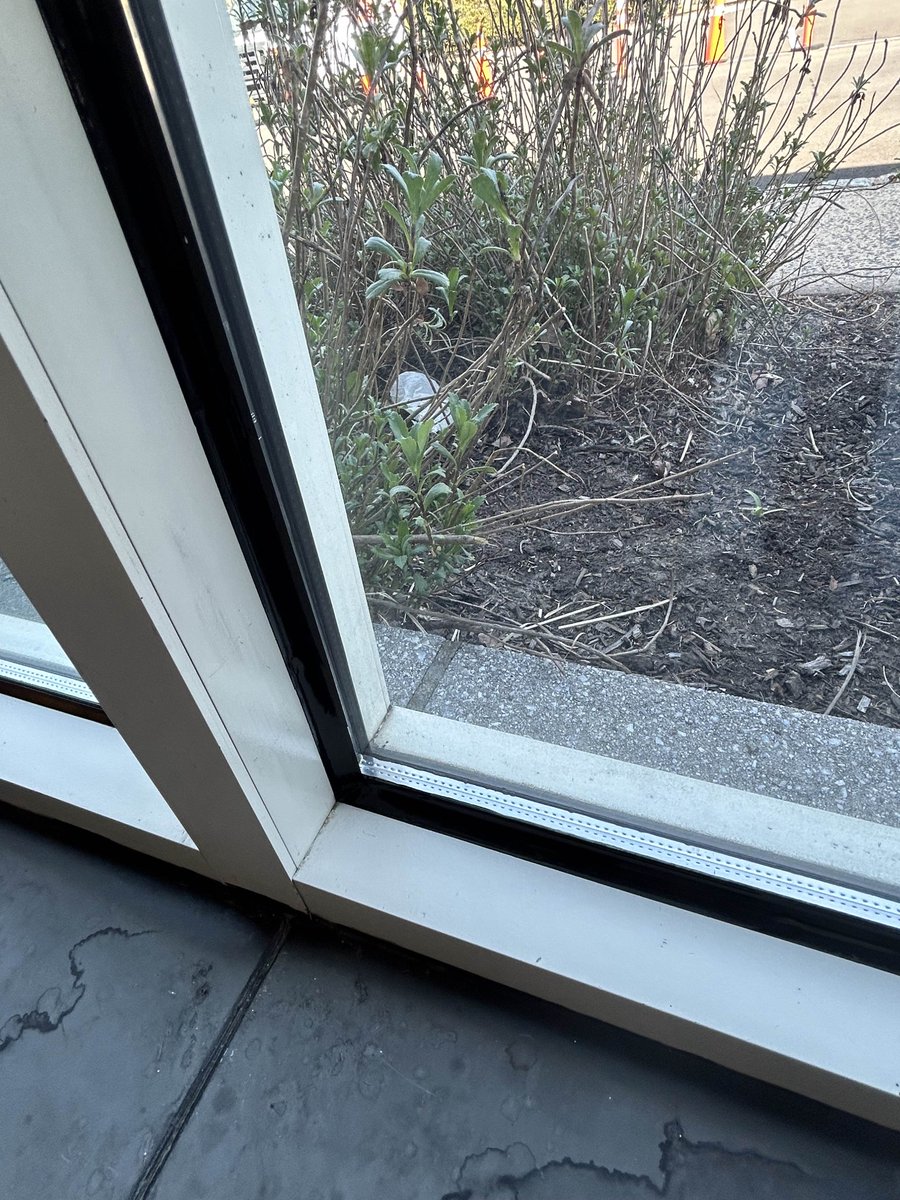 getLayr's tweet image. Caulking security window film isn’t just functional, it’s an actual 👀💯👍 aesthetic work of art.  Take your time, taped and tooled Dow 995 for the win #layr #security #securityfilm #caulk #talent #