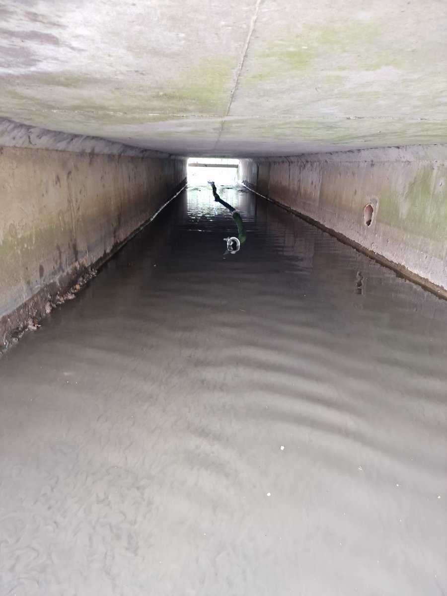 Drainsids's tweet photo. Over 120 tonnes of silt have been removed from these twin culverts at Melton Brook for the Environment Agency, thanks to the sweated labour of our site teams. 
Please contact us at:
enquiries@drainsids.co.uk
or go to:
https://t.co/k40qmFO7TX

#culvertcleansing #recyclerunit https://t.co/41PNuz2Uqn