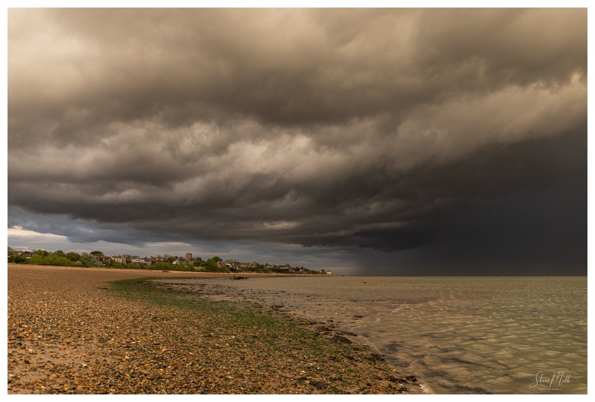 Shaun Mills tweet media