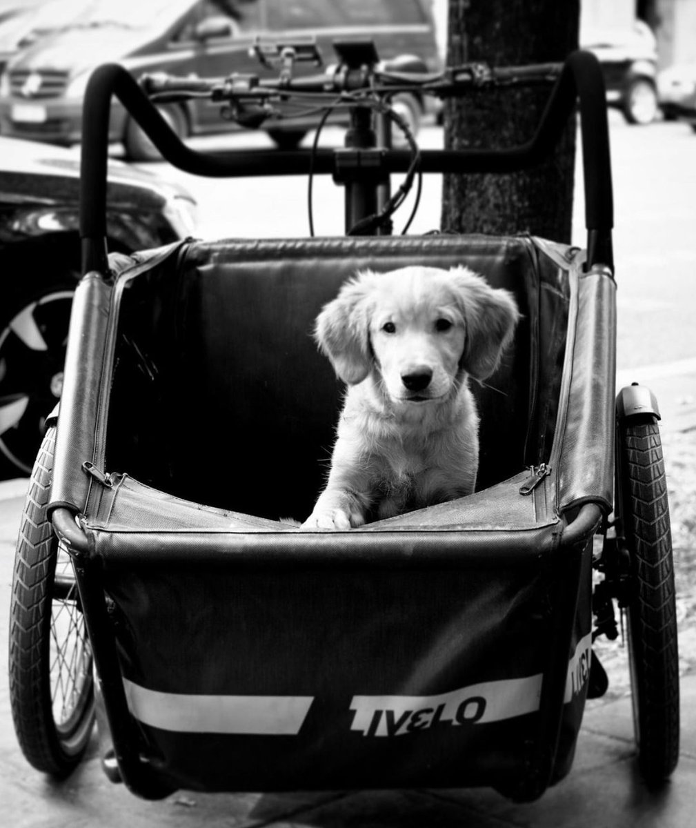 Dock lite ledsen för att jag inte jobbade på Livelo när Sammi var såhär gullig