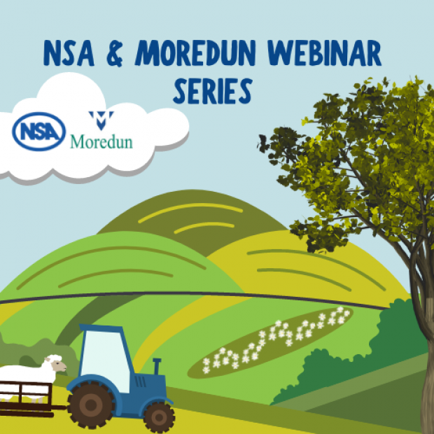 MoredunComms's tweet photo. Free webinar on - Sheep vaccines, what’s current and what’s coming with @natsheep
Wed 28th June @ 7.30 pm
Join @FlockHealth Sheep veterinary specialist and @al_nisbet from Moredun deliver up to date information on sheep vaccines
Register today https://t.co/7o71BrCb5t
#sheepteam https://t.co/YdYt6IFHuL