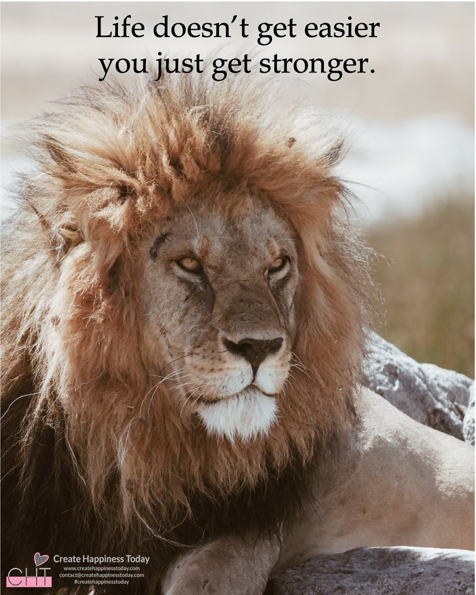 CHT_Tweets's tweet photo. ~Life doesn't get easier you just get stronger.~
#createhappinesstoday #cht #behappyagain #beautifulsurvivors #unbreakable #like #share #follow https://t.co/YzZ7blbnfL