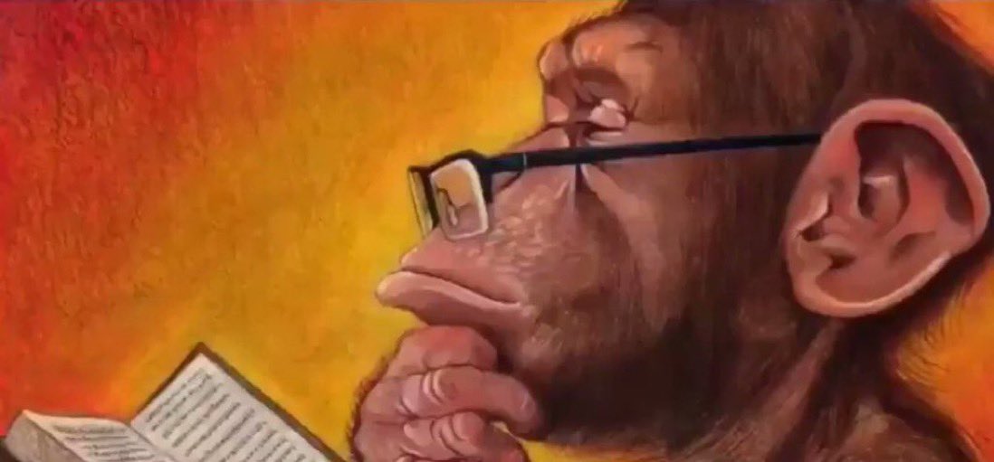 MONKE tweet media