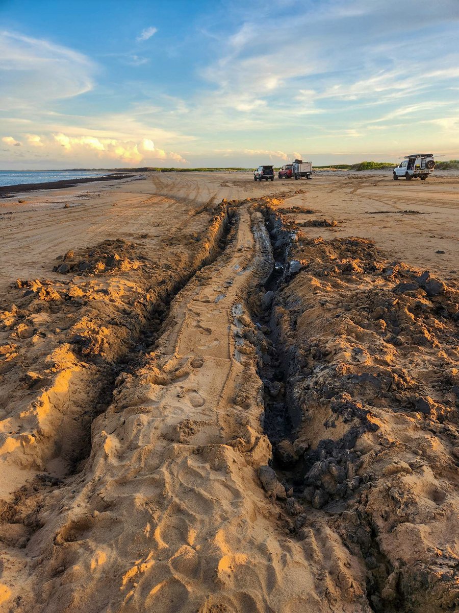 4wd_central's tweet image. Who knew a day at the beach could turn into a rescue mission? 😅 🤙 🚙💨 
#beachadventures #boggedonthebeach #adventuretime #offroadinglife #4x4life #beachlife #stuckinmud #gratefulheart