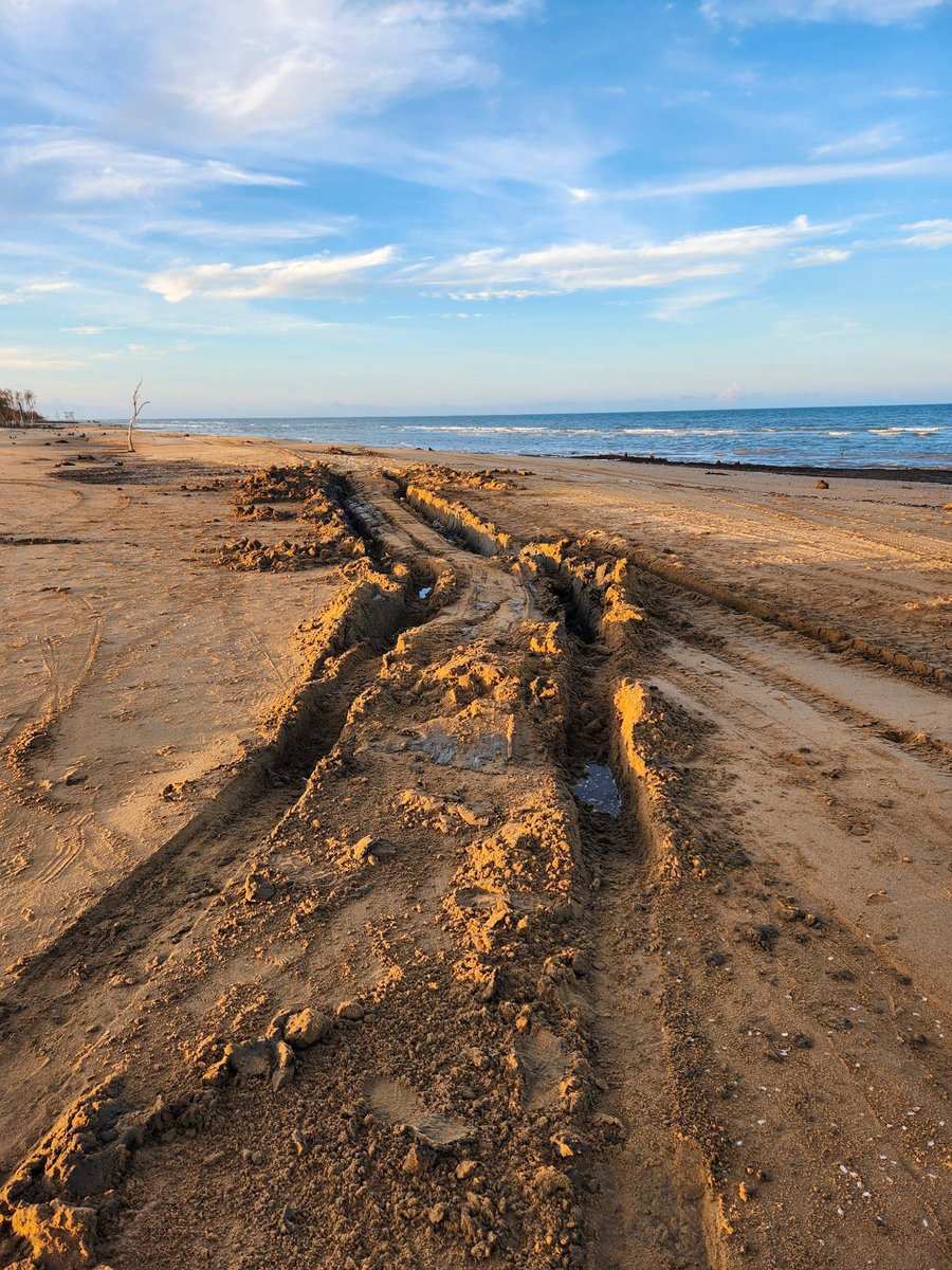 4wd_central's tweet image. Who knew a day at the beach could turn into a rescue mission? 😅 🤙 🚙💨 
#beachadventures #boggedonthebeach #adventuretime #offroadinglife #4x4life #beachlife #stuckinmud #gratefulheart