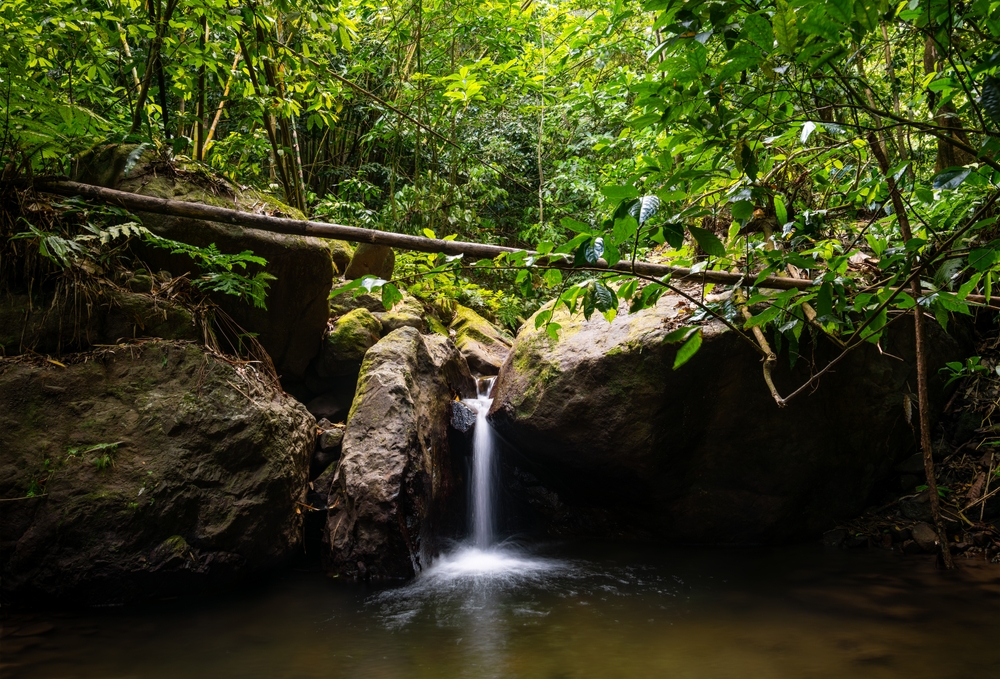 Let's explore the world together without traveling:

Couleuvre river, #Martinique island

#sustainableLiving #environmentallyFriendly #NaturePhotograhpy #naturelover #naturelovers