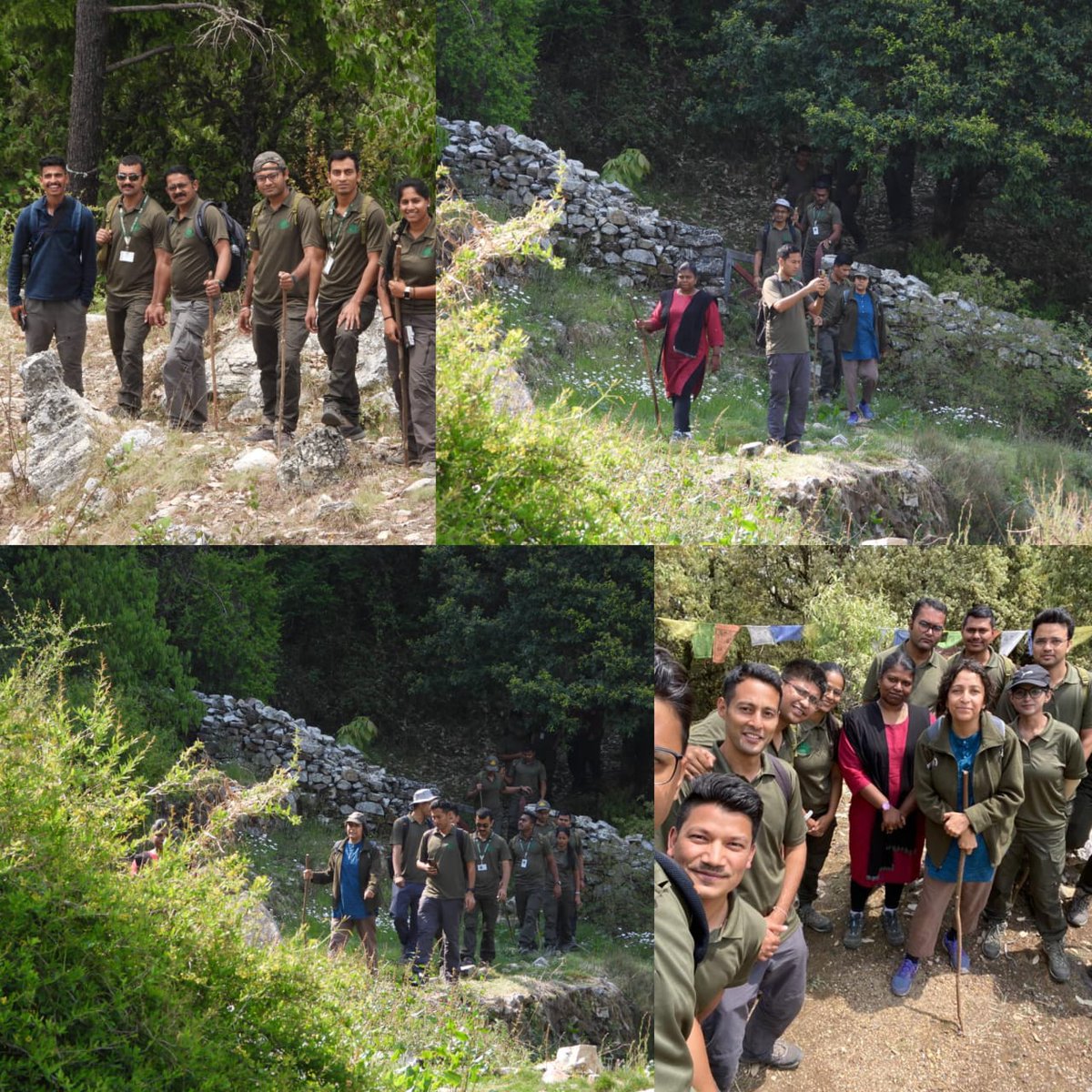 casfosddn's tweet image. On 29.04.23, OTs of 36th SFS IC @casfosddn along with Smt Meenakshi Joshi (IFS) &amp;amp; Dr T Beula EM (IFS) visited Jabarkhet Nature Reserve (OECM site), Mussorrie. Dr Sejal Worah, MD, briefed floristic diversity and participation of local stakeholders rejuvenating degraded Oak forest.
