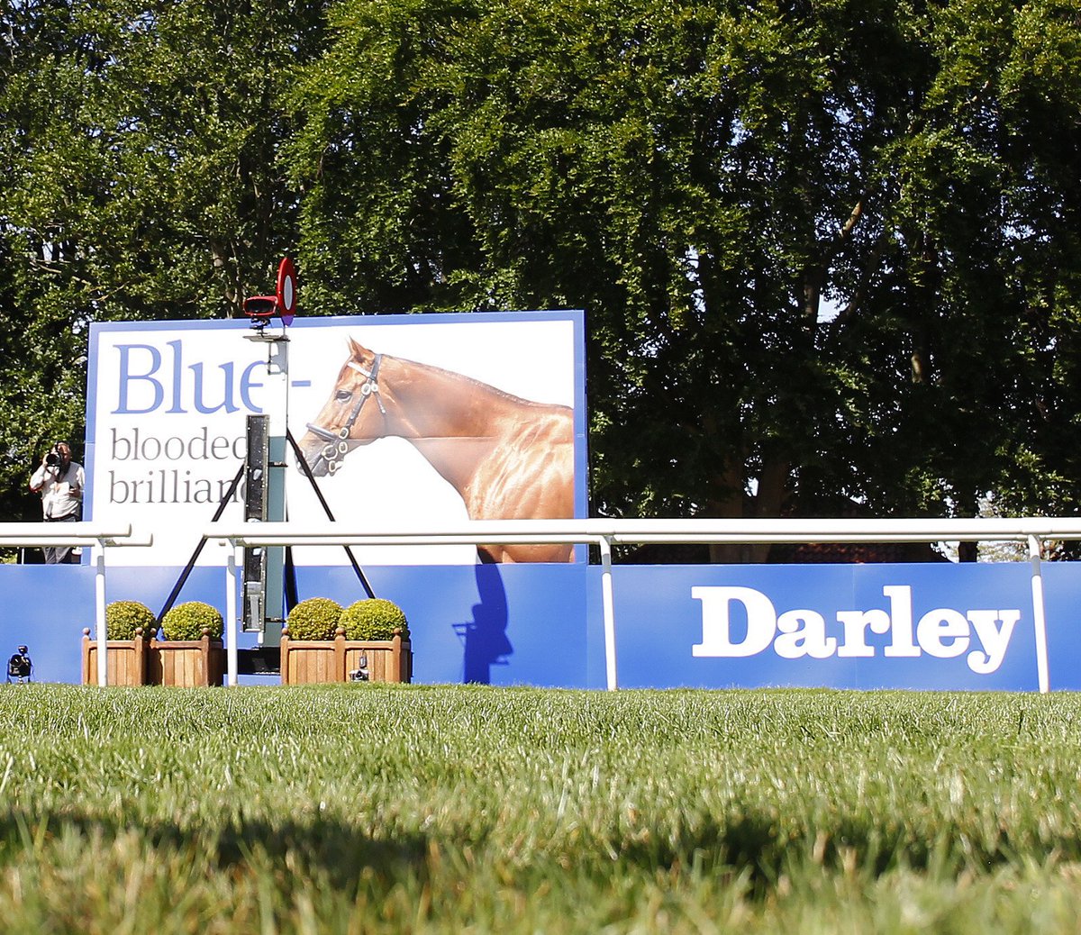 We are delighted to announce Darley's sponsorship of a series of Black Type races for fillies in Ireland🇮🇪 📍Kooyonga Stakes @NavanRacecourse 📍Munster Oaks @corkracecourse 📍Brownstown Stakes @Fairyhouse 📍Hurry Harriet Stakes @GowranPark1 📍Brigid’s Pastures Stakes @curraghrace