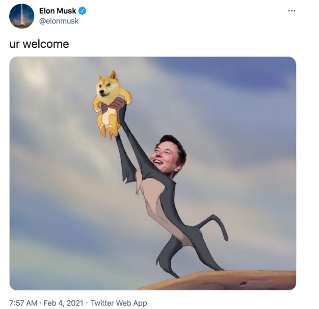 Shine tweet media