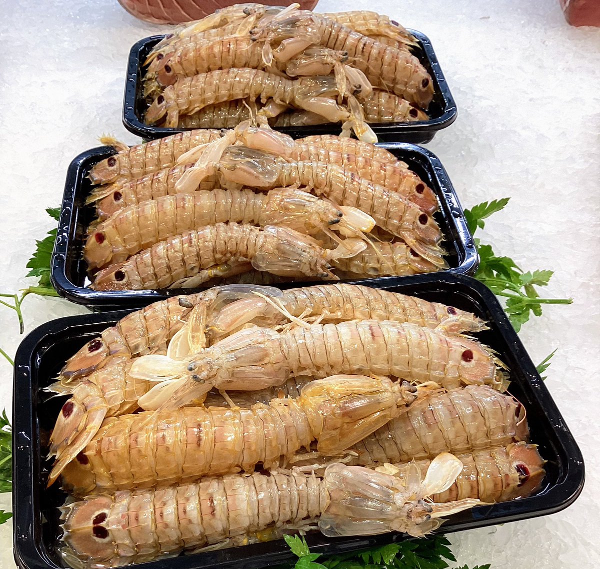 MercatDelesbob2's tweet image. Galeres per fer un bon arròs o un bon caldo…,a la peixateria PATZIG del mercat de Martorell

#mercatdelesbobiles #peixfresc #galeres #arròsdegaleres #peixdeproximitat