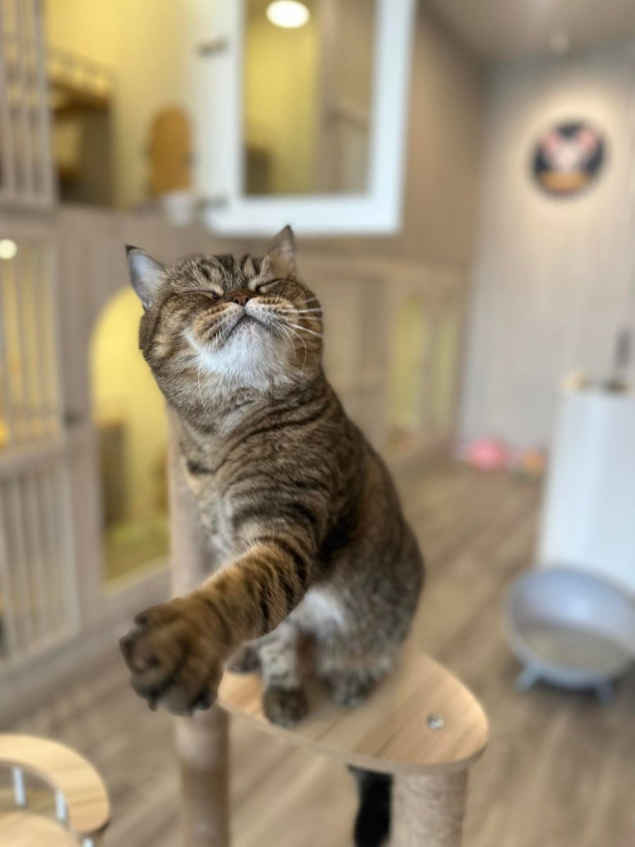 stringnayyy's tweet image. คิดถึงสุดหล่อแนัว