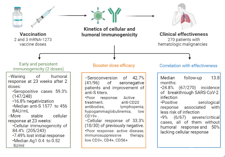MartaCrespoHEM's tweet photo. New paper! We previously described immunogenicity of SARS-Cov-2 mRNA-1273 vaccine in patients with hematological malignancies: https://t.co/lFnPJuvOGH
Now we have studied the kinetics and effectiveness of SARS-CoV-2 booster vaccination in the same cohort: https://t.co/MjEBySkvfp https://t.co/tsXebrM7Jr