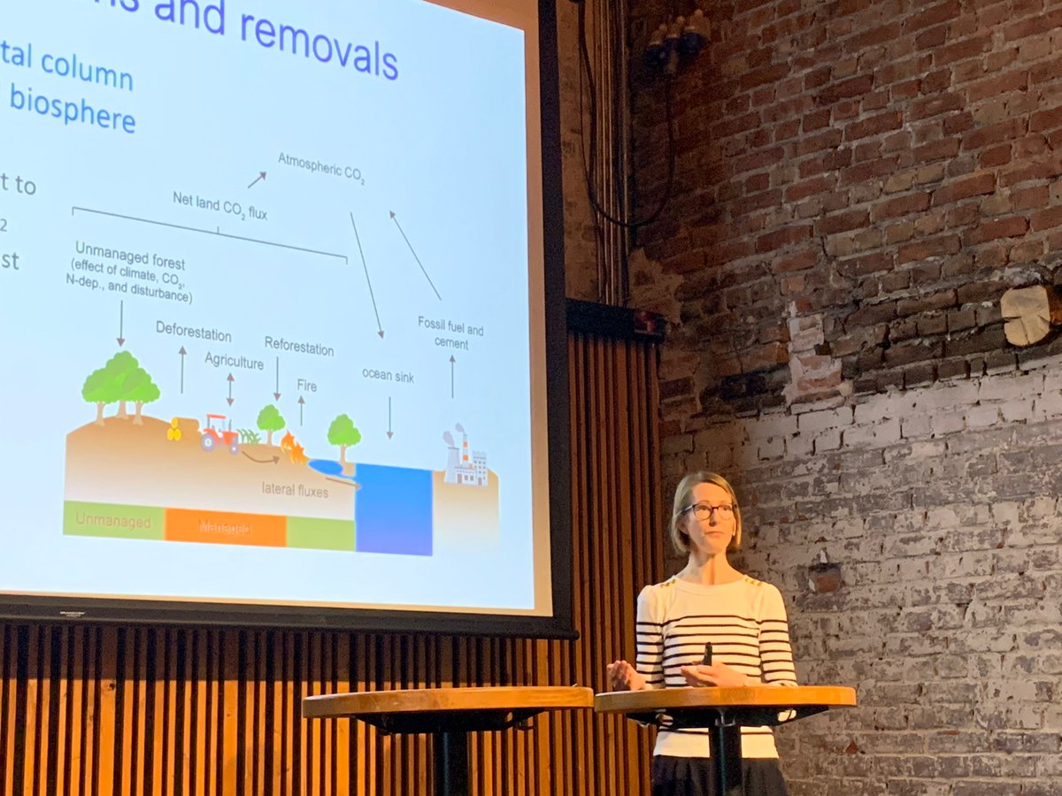 Rona Thompson tweet media