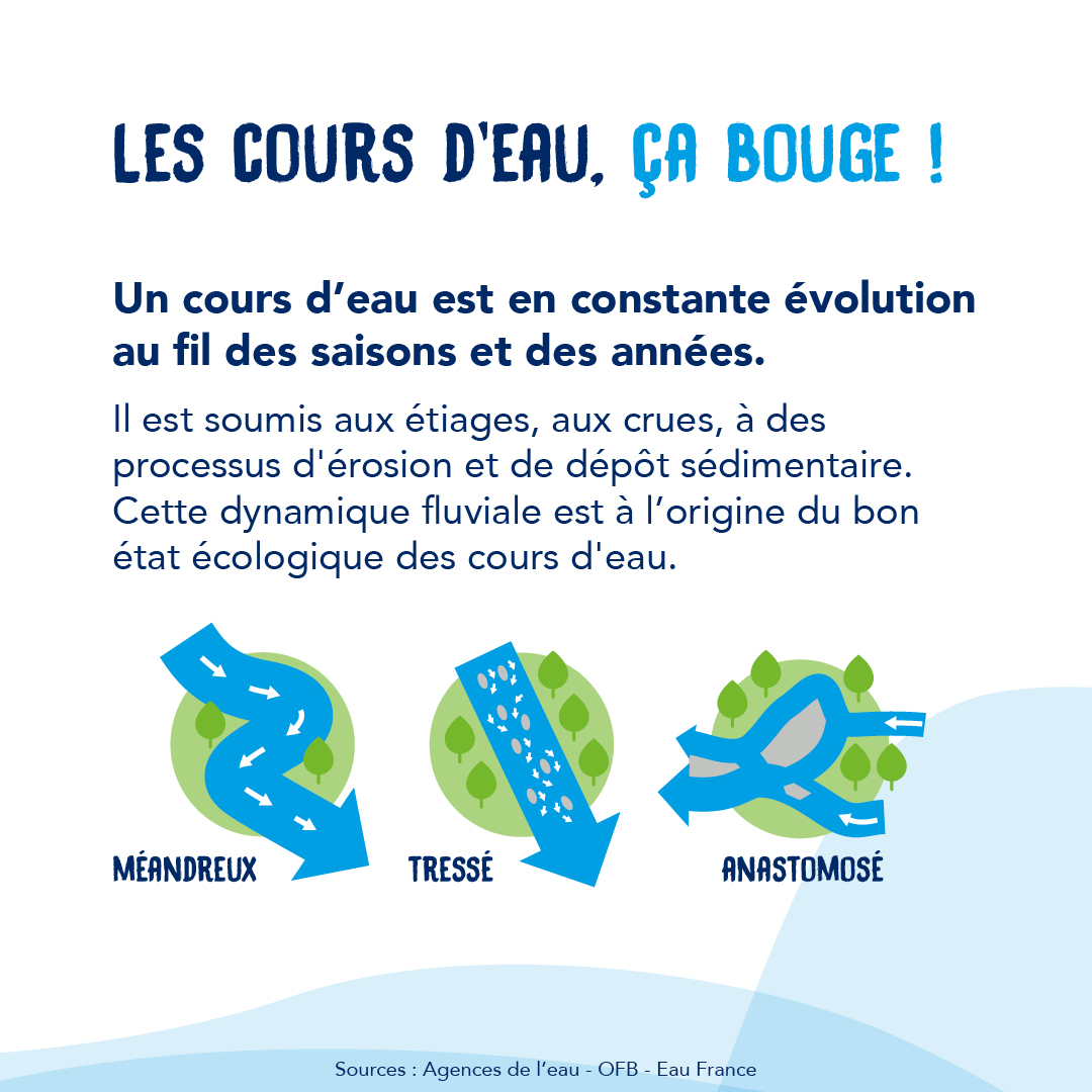 EnImmersion's tweet photo. (2/3)
#EnImmersion #eau #coursdeau #torrent #riviere #ruisseaux #fleuves #bassinversant #hydrographie #ripisylve #continuitéécologique https://t.co/NFYxvj0oBT