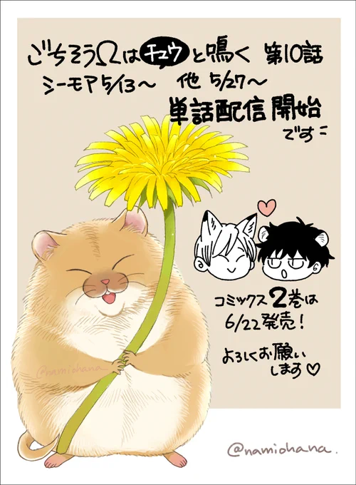 🦊ごちそうΩはチュウと鳴く🐹 第10話単話配信  🌼シーモア 5/13～ 🌼その他電子書店 5/27～ 配信開始です  よろしくお願いします🙌  既に雑誌版で読んでくださった方もありがとうございました!🥰✨