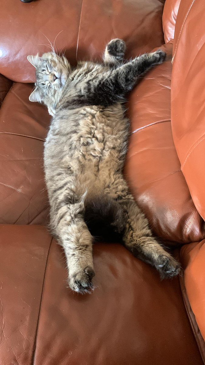 Emma Sing tweet media