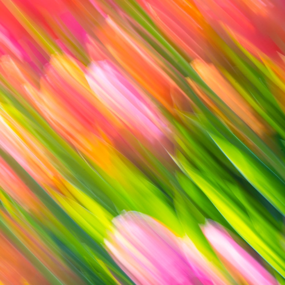 ﾟ✧*̣̩⋆ Jen Grand ✧*̣̩☽⋆ tweet media