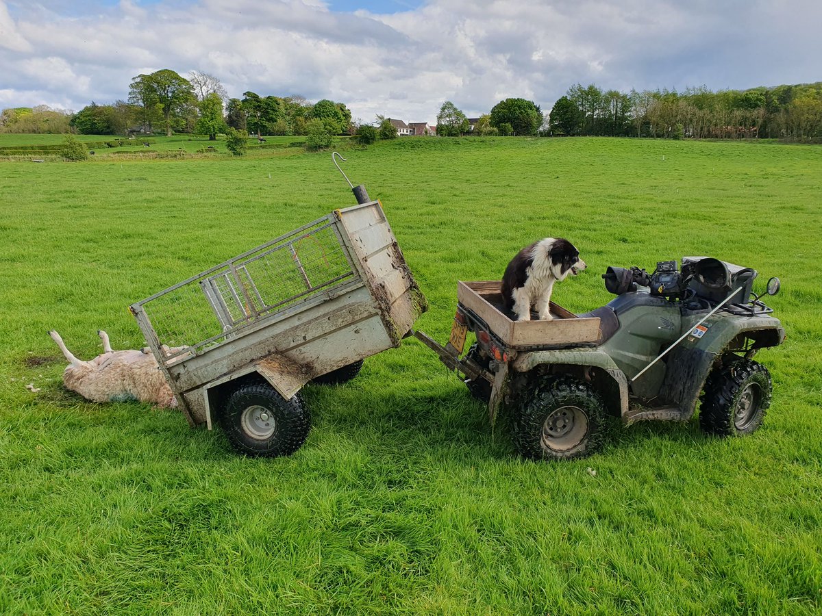 John Howie tweet media