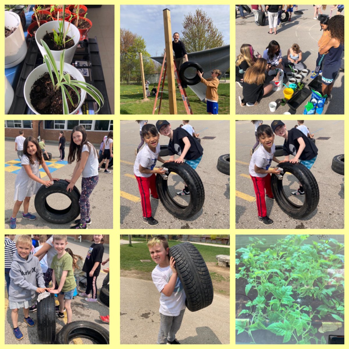 stjohncsguelph's tweet photo. @WWFCanada

The Wildcats at St. John's continue to work away on their sustainability initiative, thanks to fundraising and our WWF grant! Today we up-cycled tires to make planters around our shade sail posts! https://t.co/1UGNwPS2R2