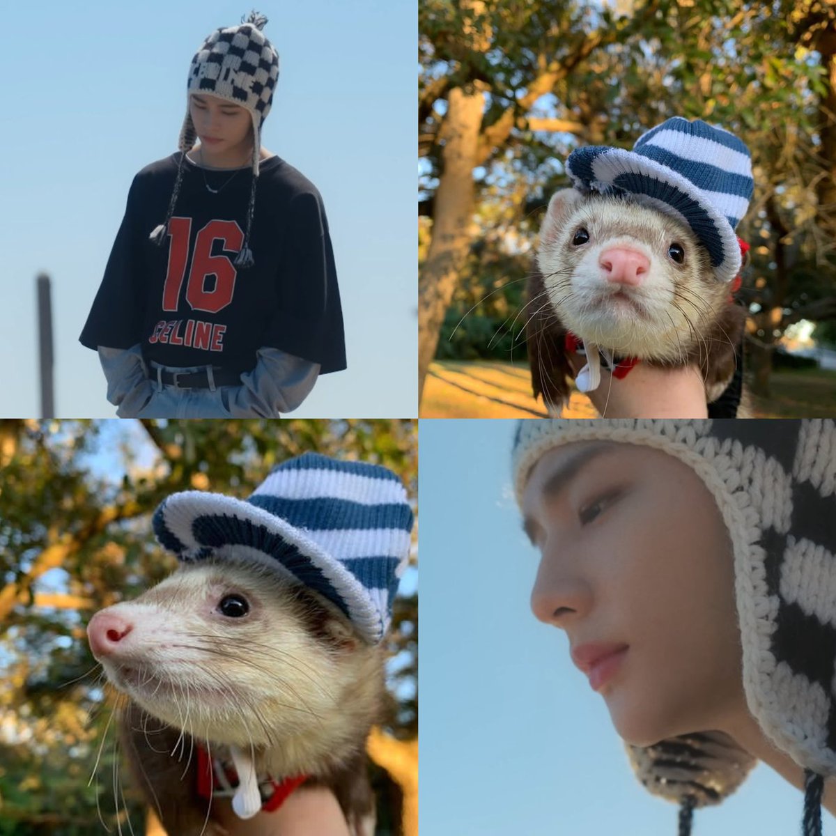 hyunjin as ferrets tweet media