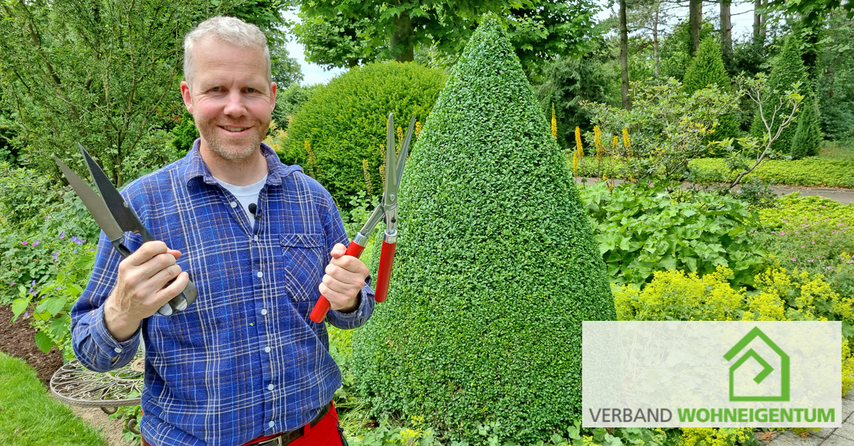 WohneigentumNRW's tweet image. Wann, womit und wie werden Formgehölze (wie Buchsbäume oder Eiben) richtig geschnitten? Mit unserem YouTube-Video zum Thema #Buchsbaum schneiden klappt der Pflege- und Formschnitt:
youtube.com/watch?v=o-NHhq…
