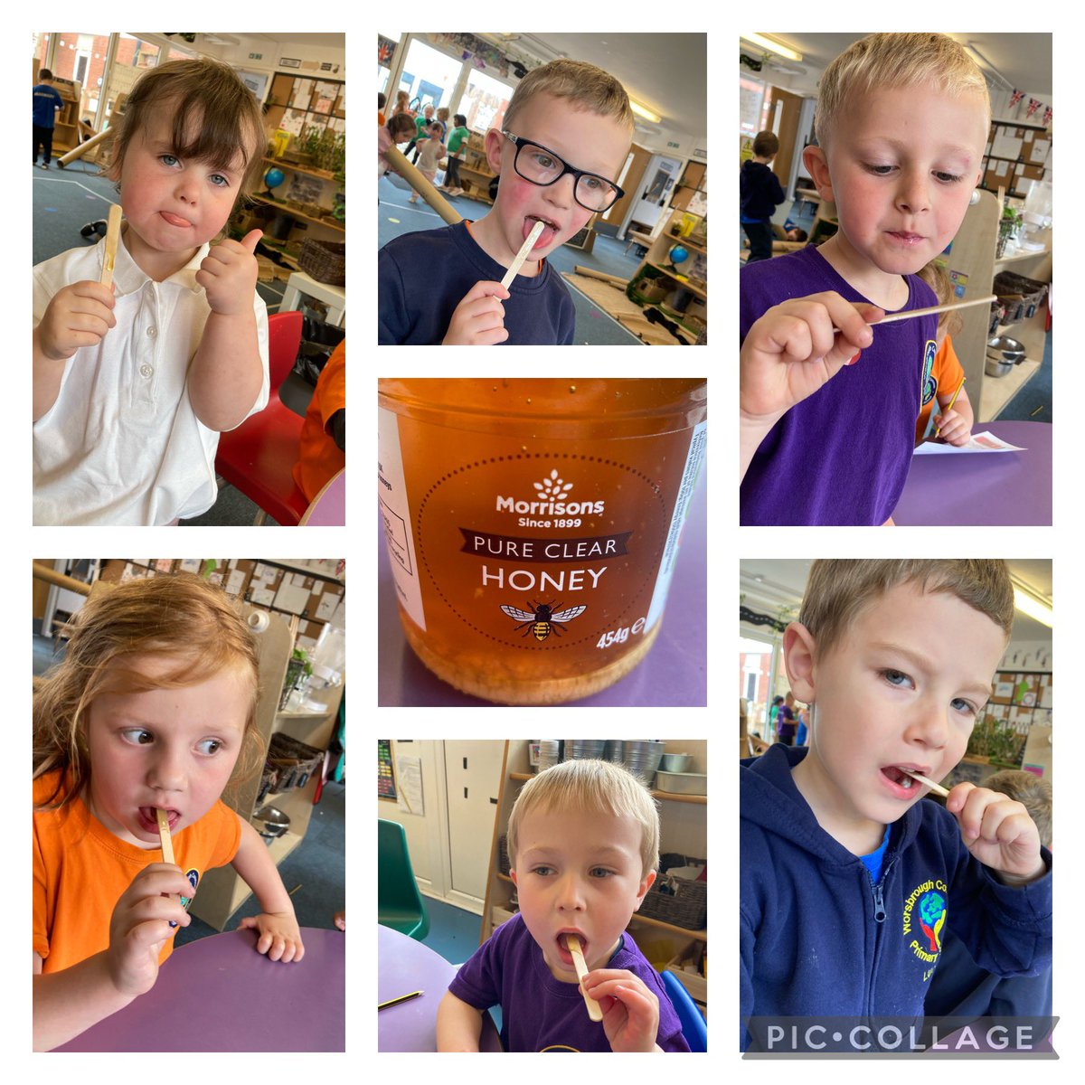 JulieGrainger4's tweet photo. This week we are learning all about bees. We discussed how important bees are and learned how honey is made, we even got to try some today. Class 2 gave it a big thumbs up 👍🏻 @WCPSc2029 https://t.co/iI0Q3SXg1M