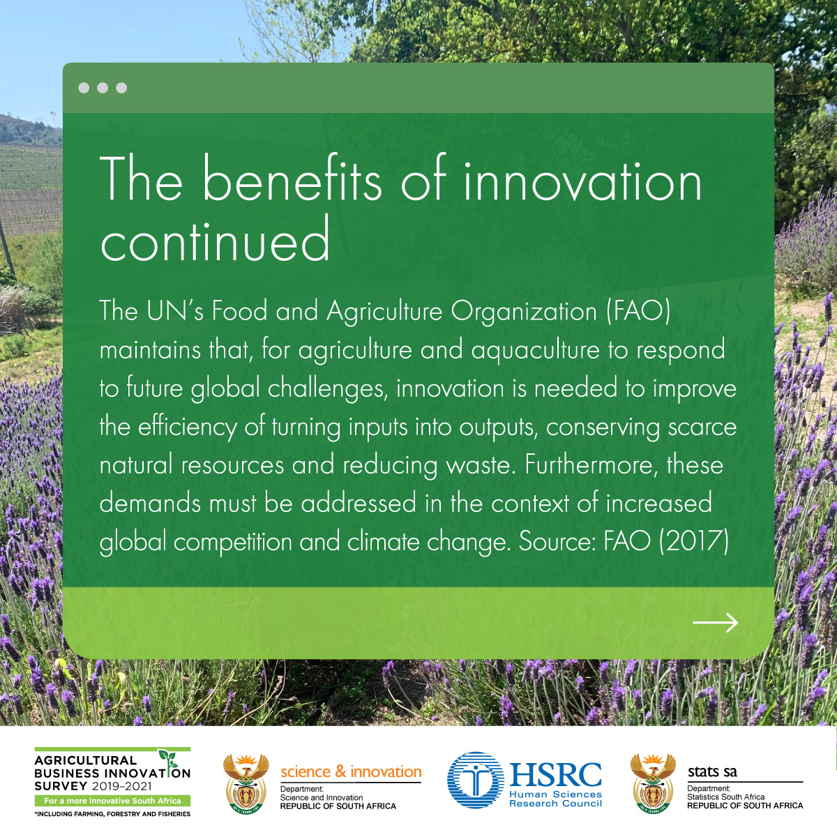 CeSTII_HSRC's tweet photo. To learn more about the future of food and agriculture follow the link>https://t.co/8e7tCy4Nx1
#hsrc #cestii #agribusiness #agriculture #SouthAfrica #innovation #agriculturetechnology https://t.co/9VW4KhAhK2