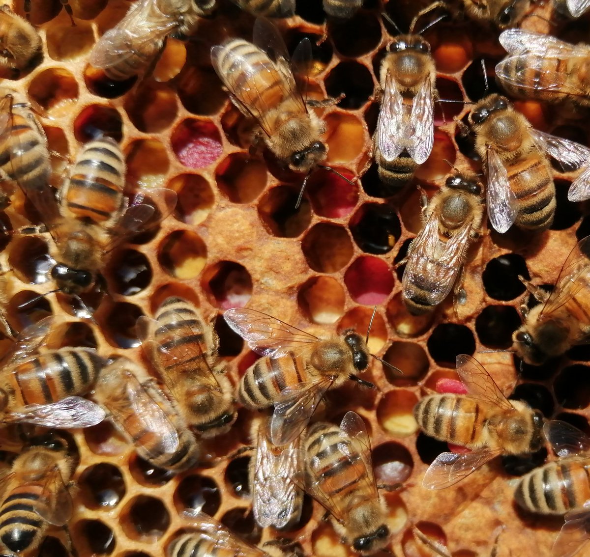 Tim Hewer tweet media