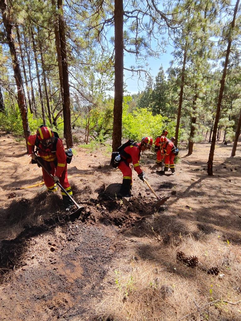 UMEgob's tweet photo. Equipos de la #UIEMCanarias #BIEM2 y #Presa del @GranCanariaCab imparten esta semana de forma conjunta el curso básico y avanzado de quemas prescritas🔥 a personal @Umegob para la prevención y extinción de #IIFF 🚒

#StopIncendios
#JuntosSumamos https://t.co/KHsqHHk6c1