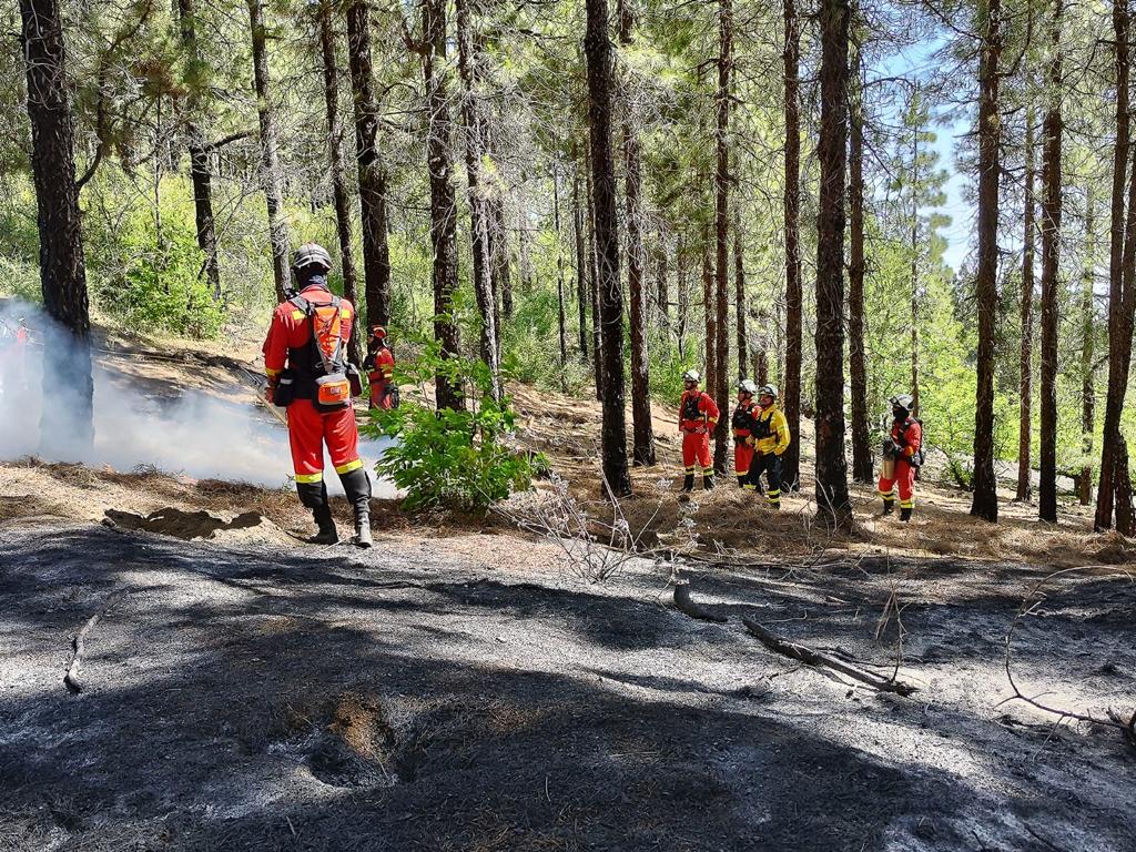 UMEgob's tweet photo. Equipos de la #UIEMCanarias #BIEM2 y #Presa del @GranCanariaCab imparten esta semana de forma conjunta el curso básico y avanzado de quemas prescritas🔥 a personal @Umegob para la prevención y extinción de #IIFF 🚒

#StopIncendios
#JuntosSumamos https://t.co/KHsqHHk6c1