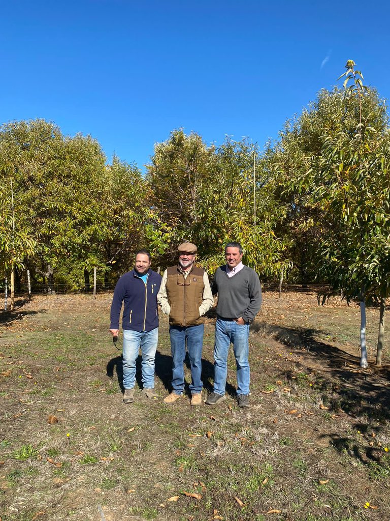 alfaberries's tweet photo. Esta semana recorrimos huertos de castañas en la Región del Ñuble y la Araucanía 🌰🫶🏻

#castañas #huerto #campochileno #exportación https://t.co/Nt2HVtk9NE