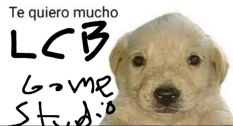 Coto tweet media