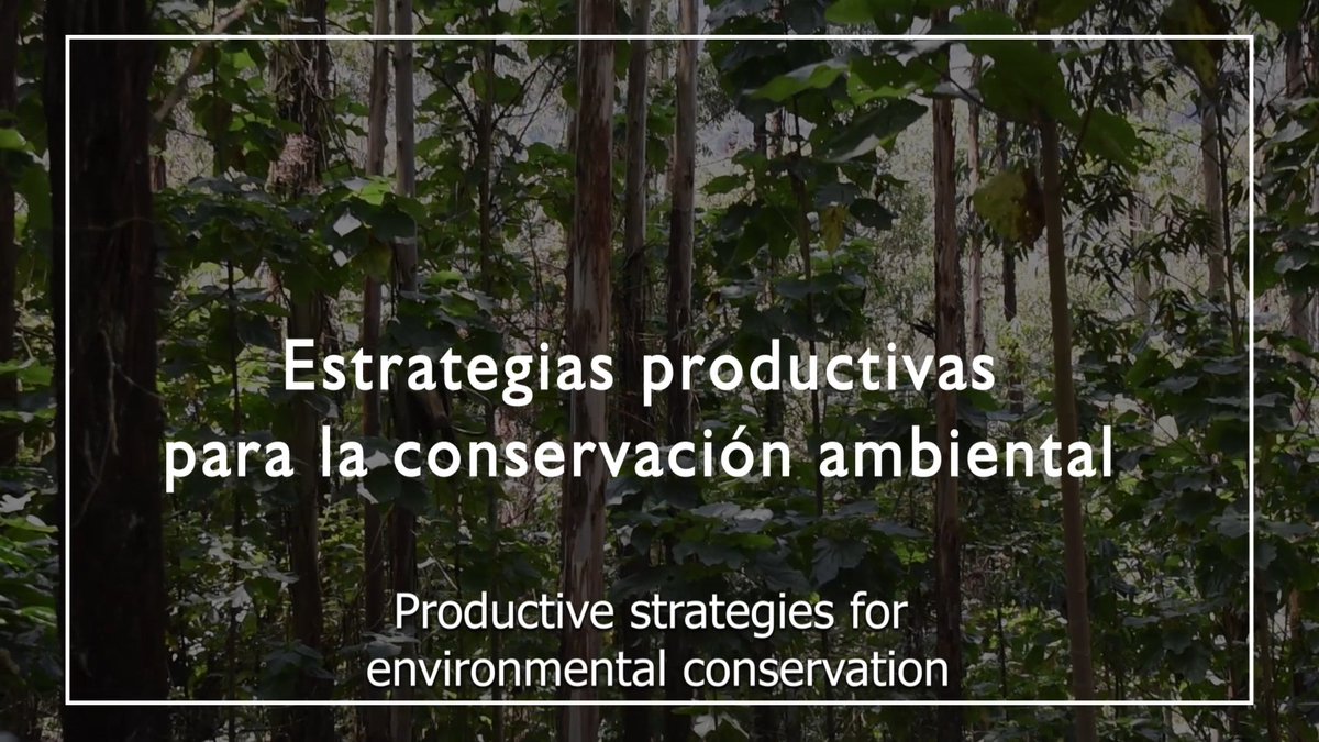 Asociación Calidris tweet media