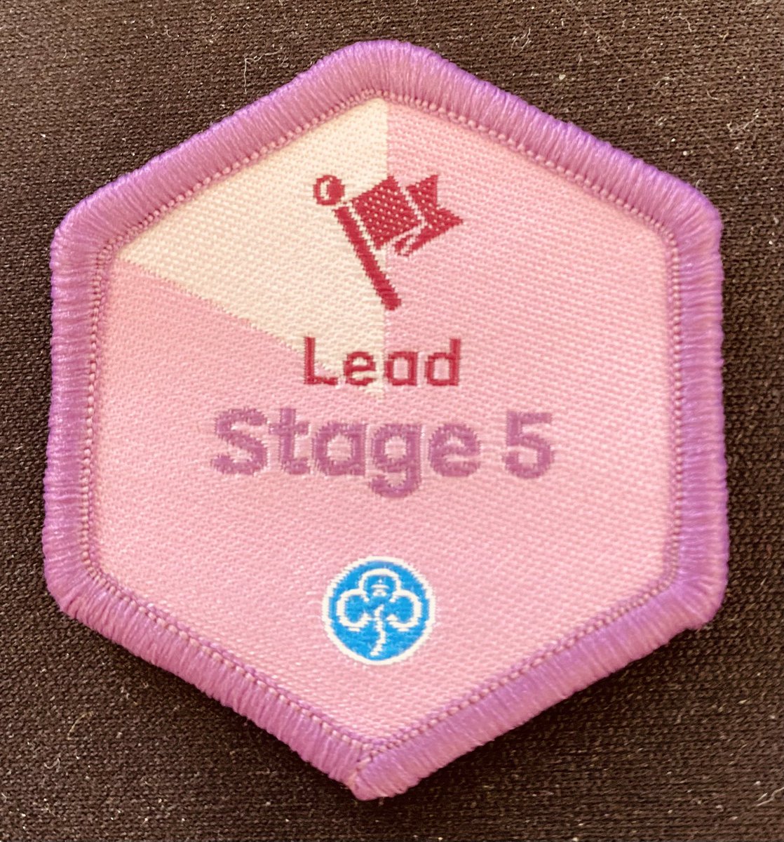 nw_army's tweet photo. #GIRLPOWER 💁‍♀️. Throw back to last Sunday when our all girl team partnered with @Girlguiding_LE to qualify 110 #guides for their #lead badge. #tbt @Girlguiding_NWE https://t.co/xo6qKTcAM7