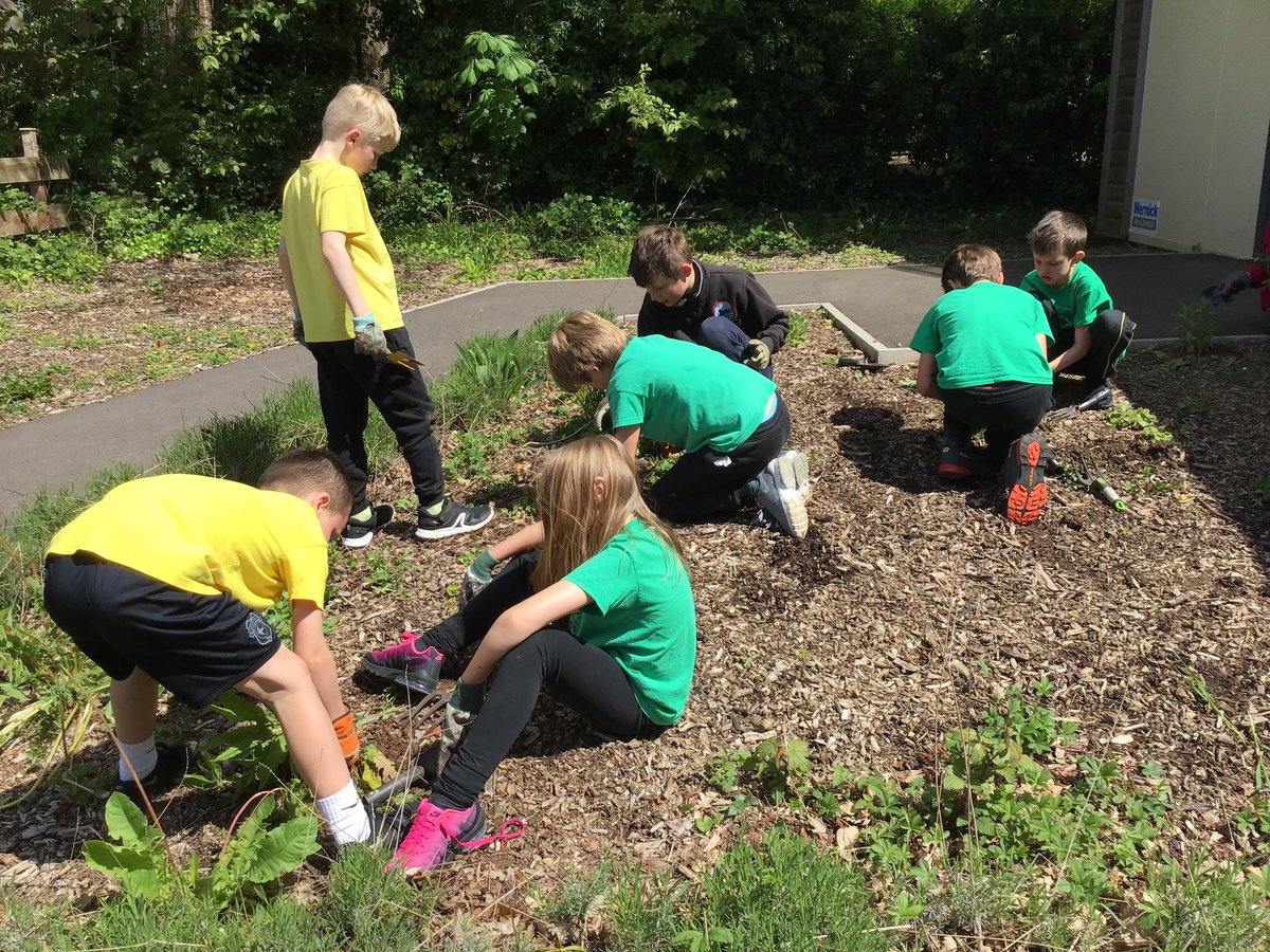 standrewsmajor's tweet photo. #SAMsY4 have been super helpers developing the area outside our classroom! Finished result coming soon! #SAMsOutdoorLearning https://t.co/dL2h8oRMPe