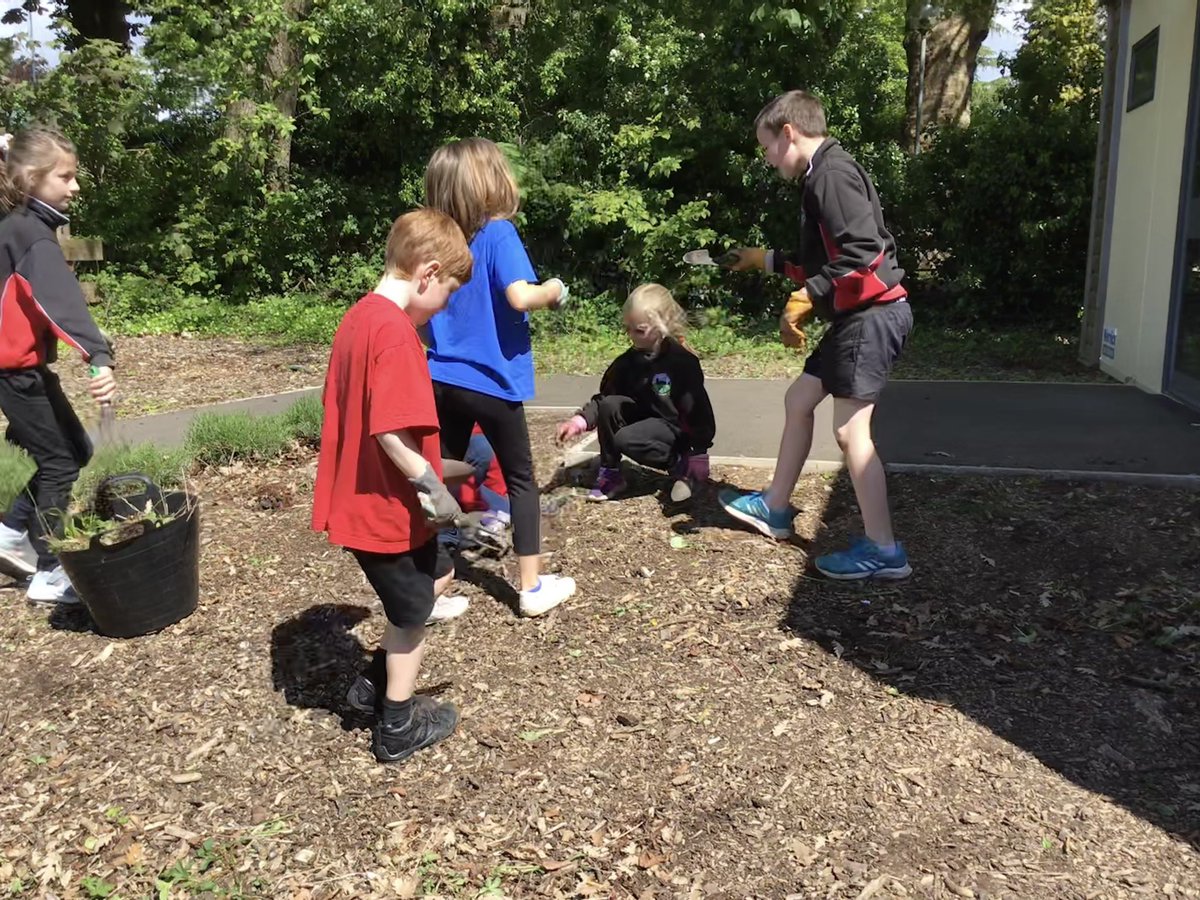 standrewsmajor's tweet photo. #SAMsY4 have been super helpers developing the area outside our classroom! Finished result coming soon! #SAMsOutdoorLearning https://t.co/dL2h8oRMPe