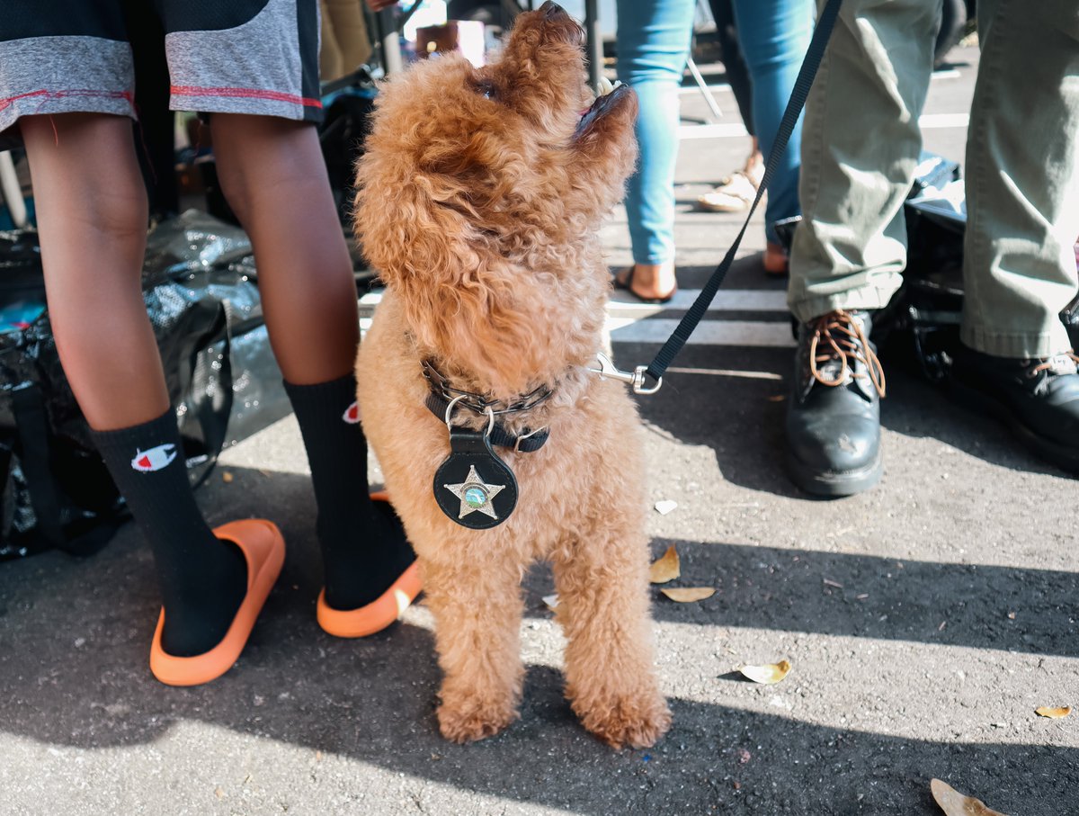 Adopt-A-Family tweet media