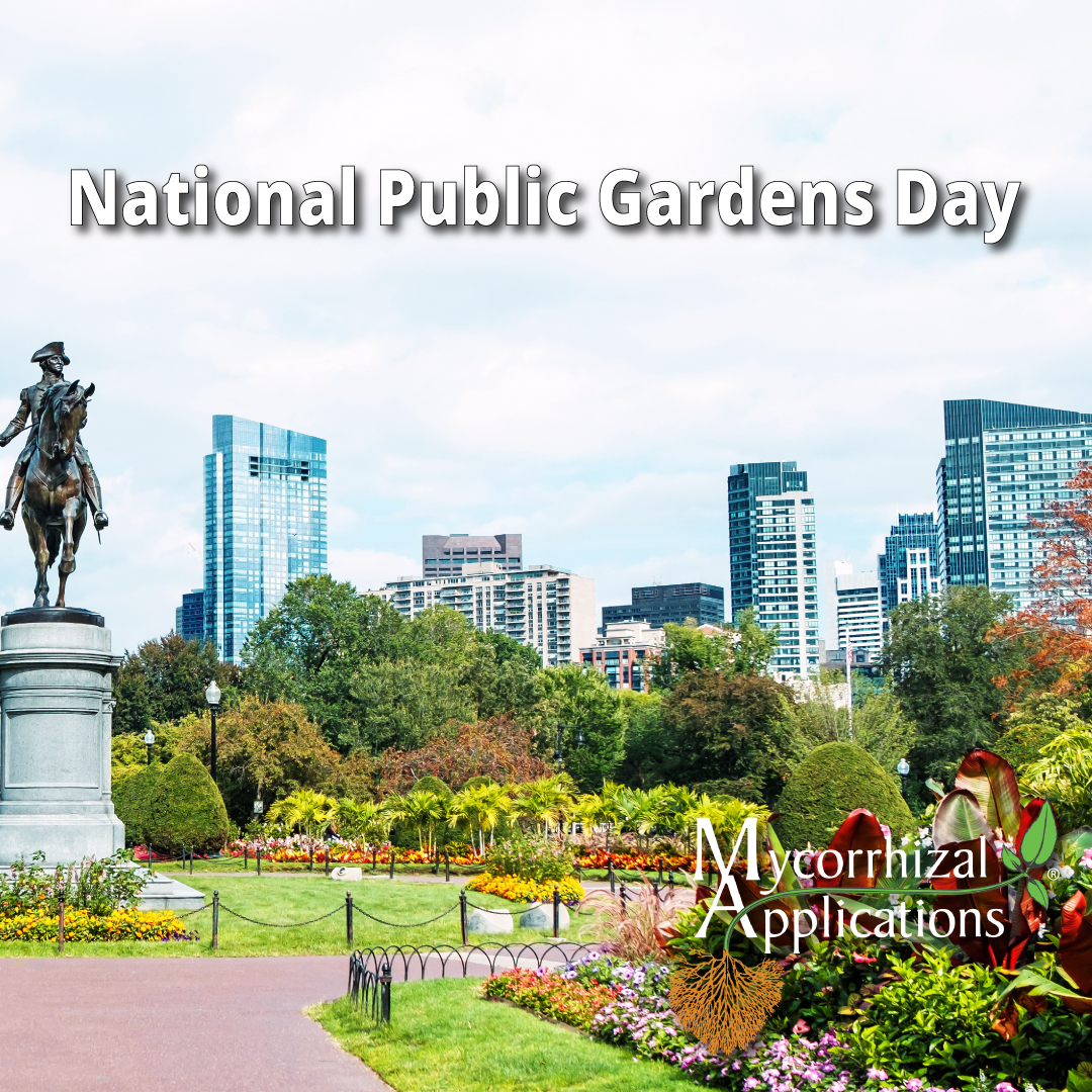MycorrhizalApp's tweet photo. Tomorrow, May 12th, is National Public Gardens Day! Whether you're looking for a peaceful retreat this Friday, a special outing to celebrate Mother’s Day, or just an outdoor space to breathe some fresh air, consider visiting a public garden near you! https://t.co/tZkW6W8z1Y https://t.co/Y2ujiABglf