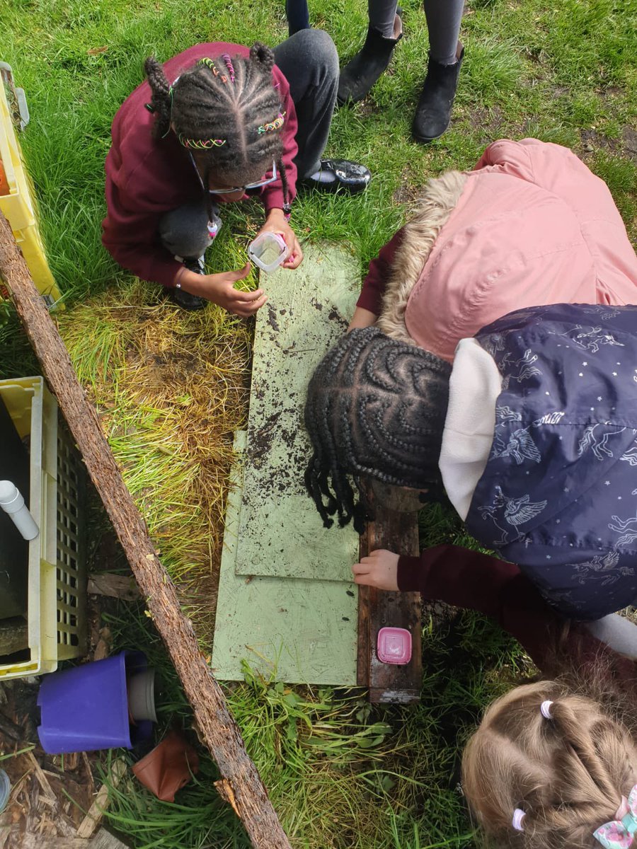 Oasis Academy Foundry tweet media