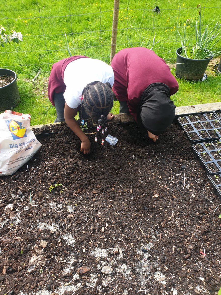 Oasis Academy Foundry tweet media