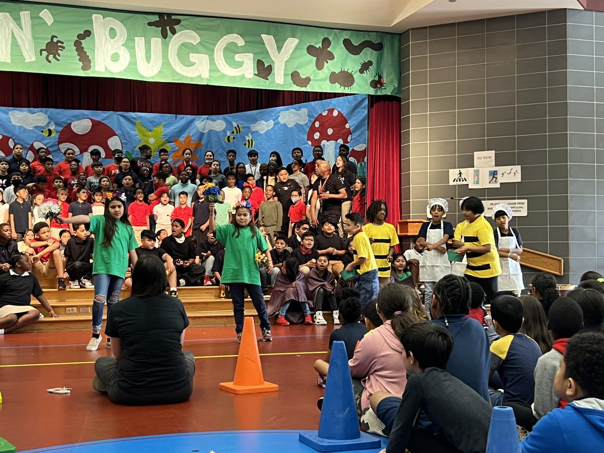 MsCastellon's tweet photo. Shout out to @sneed_music and Mr. Hawkins for a lovely performance today! The kids looked so good and were true performers. ✨✨✨ https://t.co/riZ5wkSKVc