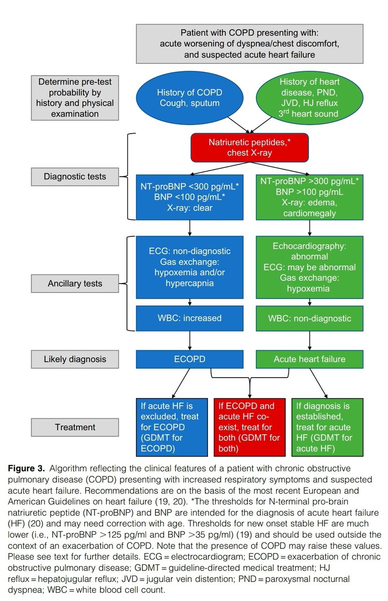 KessnerJp's tweet photo. COPDs Exacerbation: Best Practice ! @ATSBlueEditor
https://t.co/pzJlYrvqzc
🫁😮‍💨😱😤🩺🎞🙌📚
@atscommunity @EuroRespSoc @pneumosbpt @SPLF_SocPneumo @DGPneumologie @ALATorax @SeparRespira @NeumoMadrid @socapnet @neumopararesis https://t.co/hjWAIdLfEQ