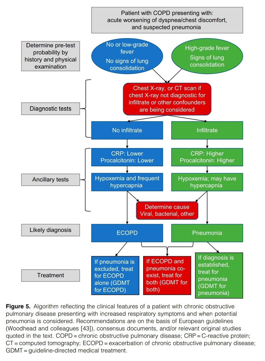 KessnerJp's tweet photo. COPDs Exacerbation: Best Practice ! @ATSBlueEditor
https://t.co/pzJlYrvqzc
🫁😮‍💨😱😤🩺🎞🙌📚
@atscommunity @EuroRespSoc @pneumosbpt @SPLF_SocPneumo @DGPneumologie @ALATorax @SeparRespira @NeumoMadrid @socapnet @neumopararesis https://t.co/hjWAIdLfEQ