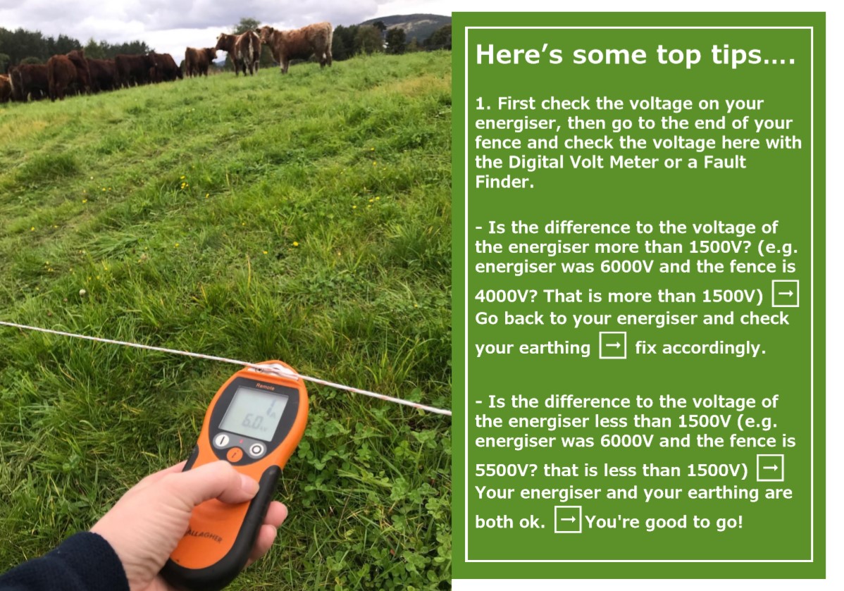 Powered Pasture (@poweredpasture) on Twitter photo Don’t forget to check the voltage on your fence this Spring/Summer!! 💥 Don’t forget to check the voltage on your fence this Spring/Summer!! 💥