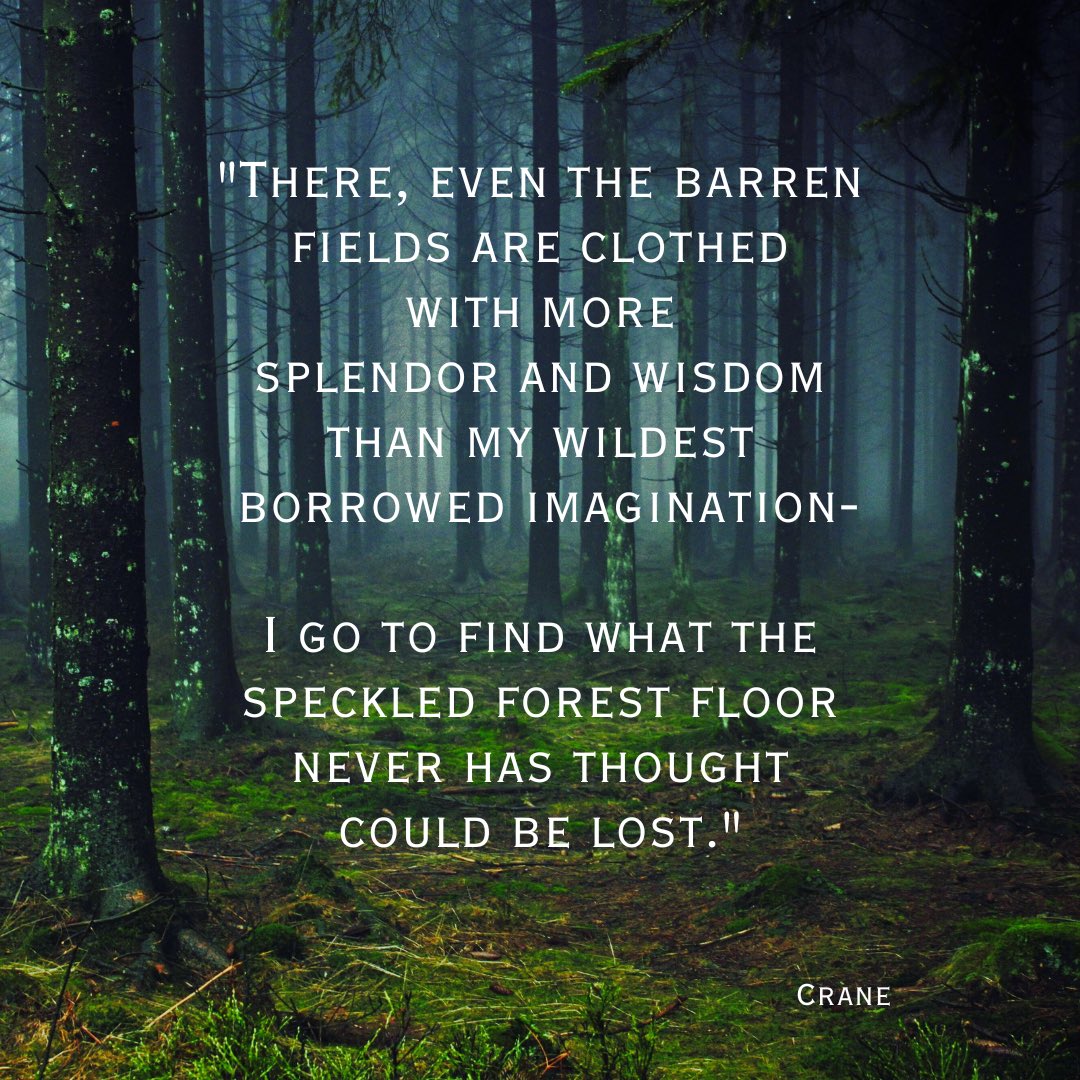 MusingHobbit's tweet image. 