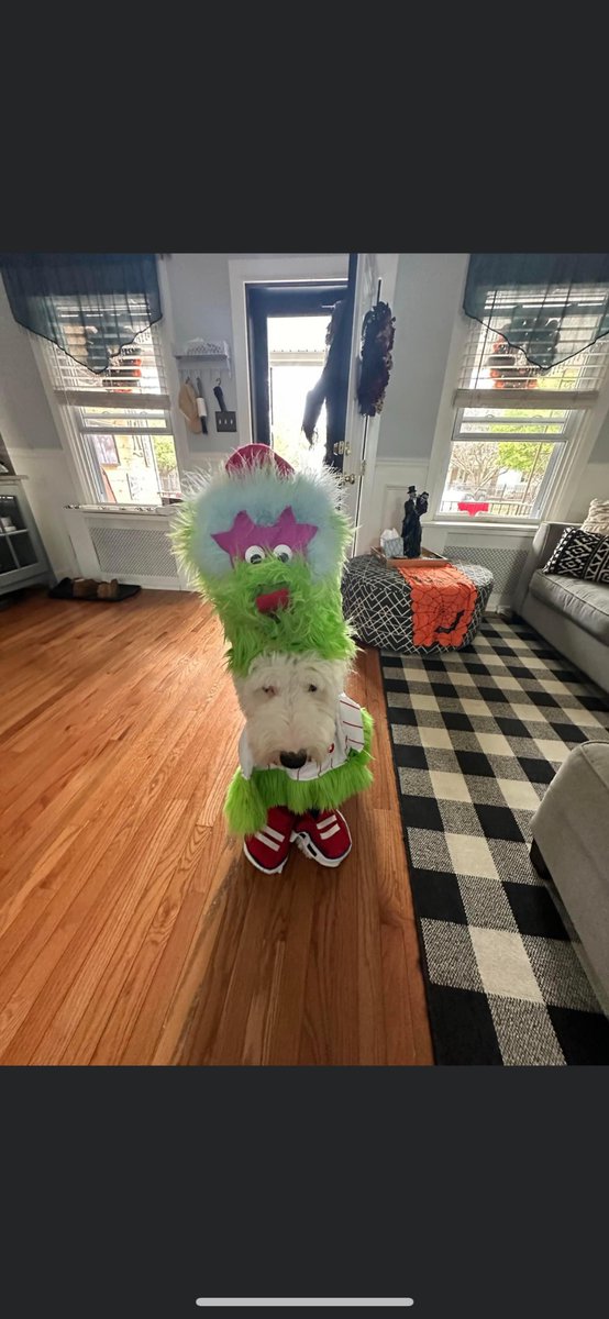 gina11b's tweet photo. Hi @Phillies please help Yeti get to see his favorite team and his muse, the Phanatic! We have human tickets just need one special yeti ticket! https://t.co/pS3uxgcoYr