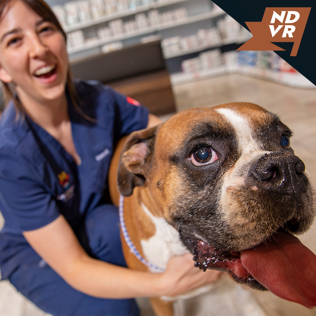 Man’s best friend, meet veterinarian’s best friend.

Lakeview Pet Hospital is the first and only pet hospital in the state to receive accreditation by the American Animal Hospital Association (@AAHAHealthyPet) and certification from @FearFreePets.